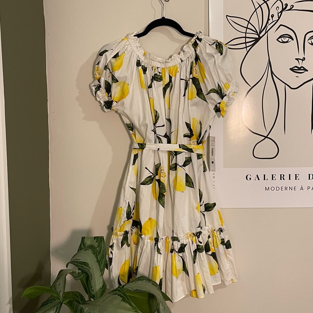 Aqua NWT Lemon Dress